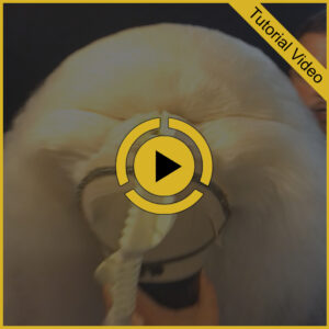 Video Tutorial: Double Stacked Wig Construction