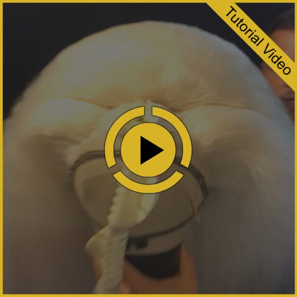 Video Tutorial: Double Stacked Wig Construction